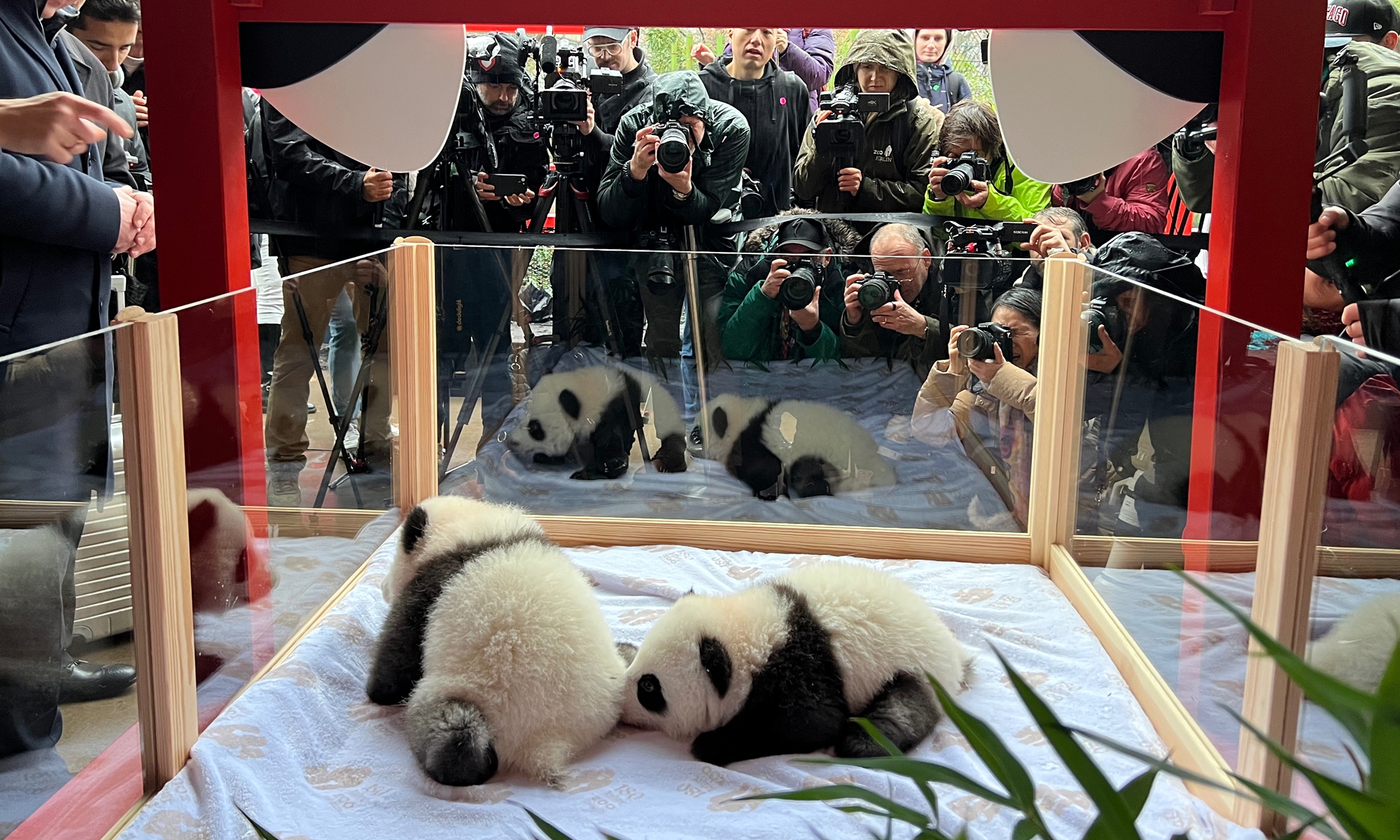 China Panda Tours