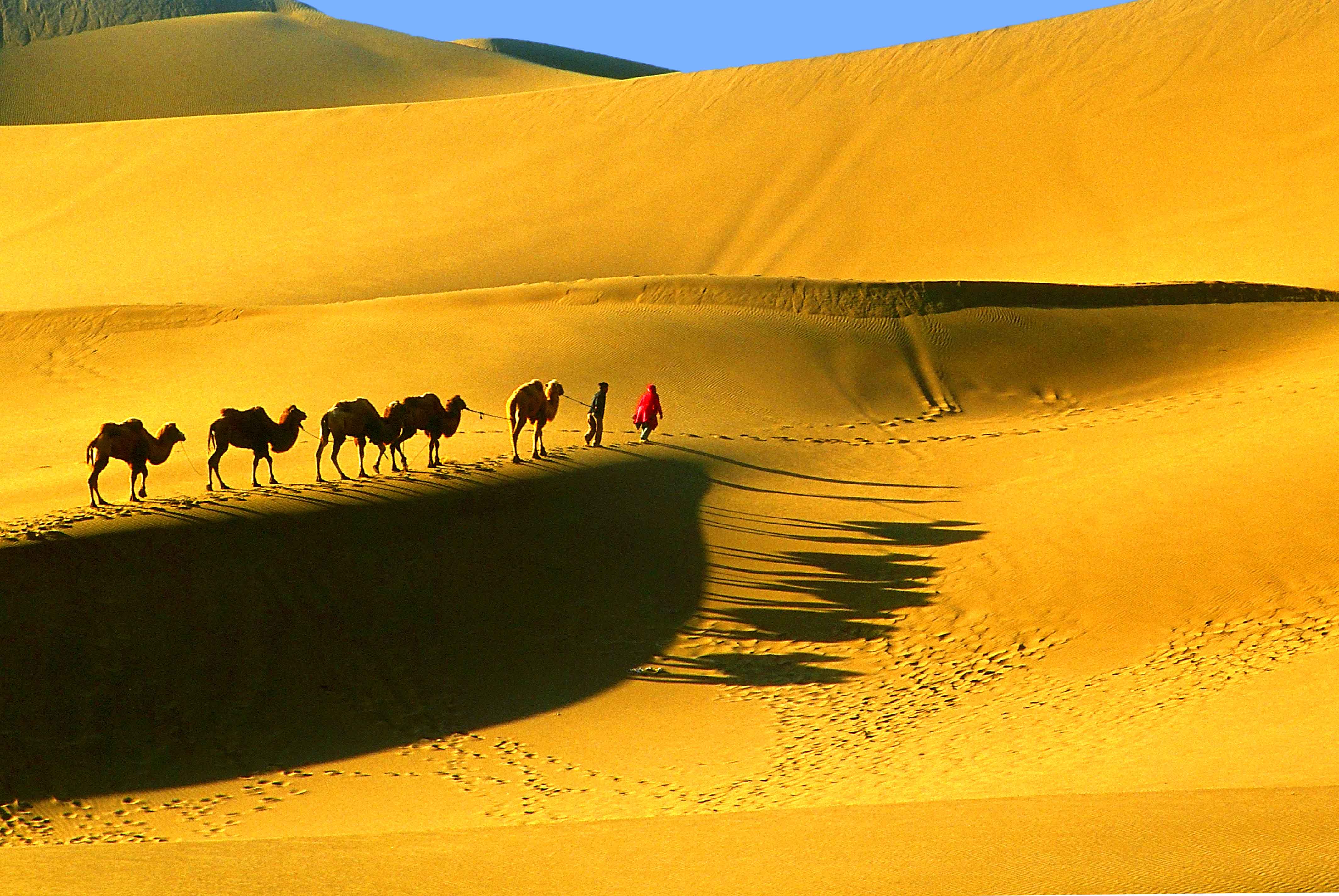 Silk Road History