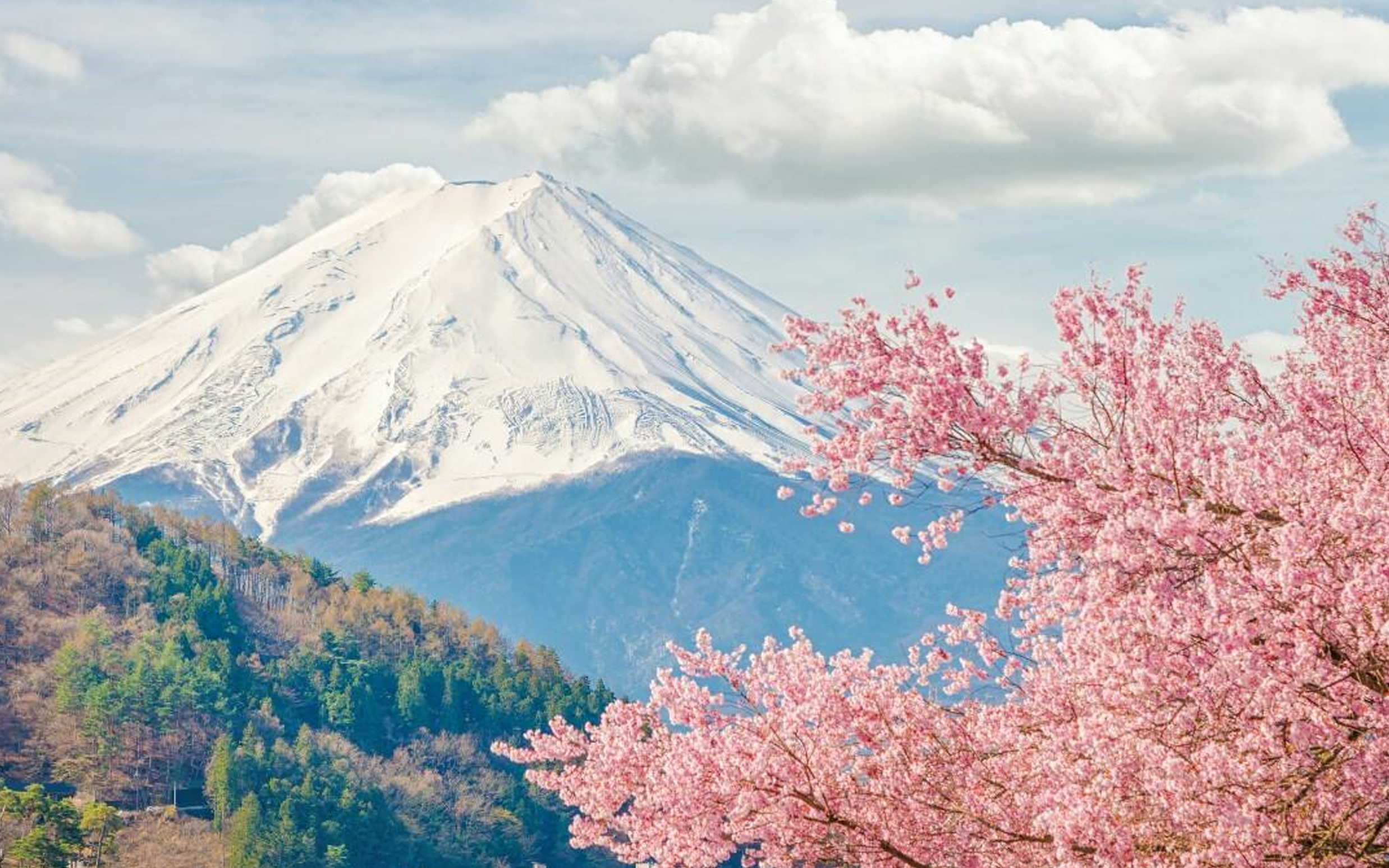 14 Days Highlights of Japan, South Korea and China Group Tour