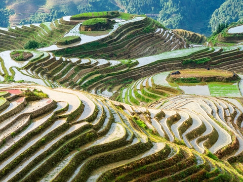 11 Days Beijing-Xi'an-Guilin-Shanghai Group Tour