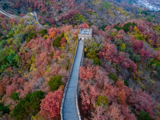 11 Day China Group tour to Beijing-Xi'an-Lhasa-Shanghai