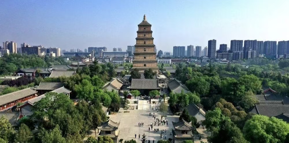 12 Days China Panda Tour