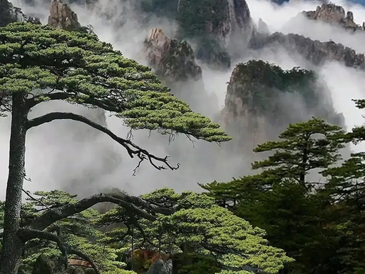 11 Days Group Tour to Beijing-Xi'an-Shanghai-Huangshan